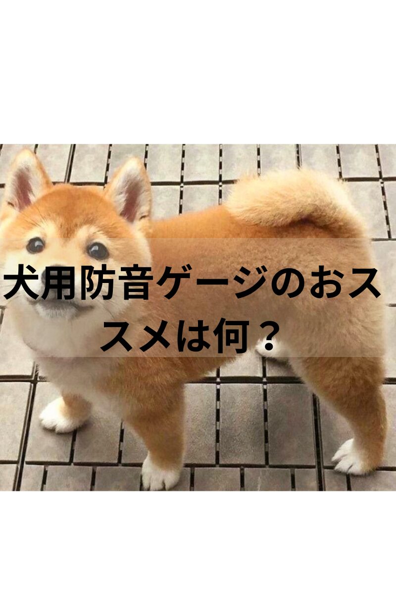 犬の防音ゲージ おススメは？騒音問題を解決する魔法アイテム